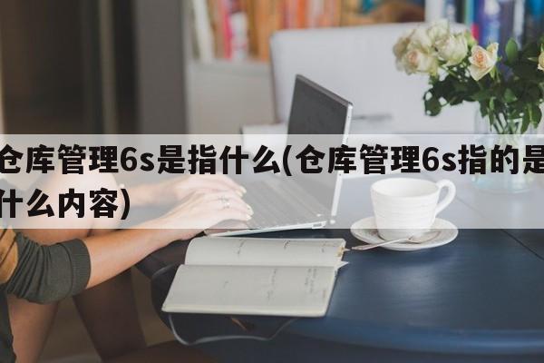 仓库管理6s是指什么(仓库管理6s指的是什么内容)